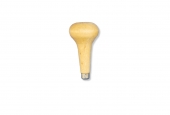 Gourd Style