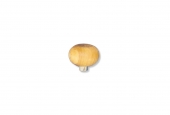Oval Style