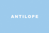 Antilope